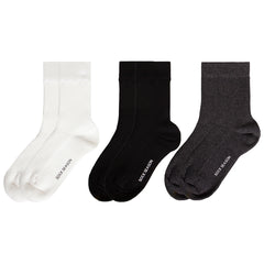 Ash Essential Ribbed Crew Sock 3-Pack | Monochrome